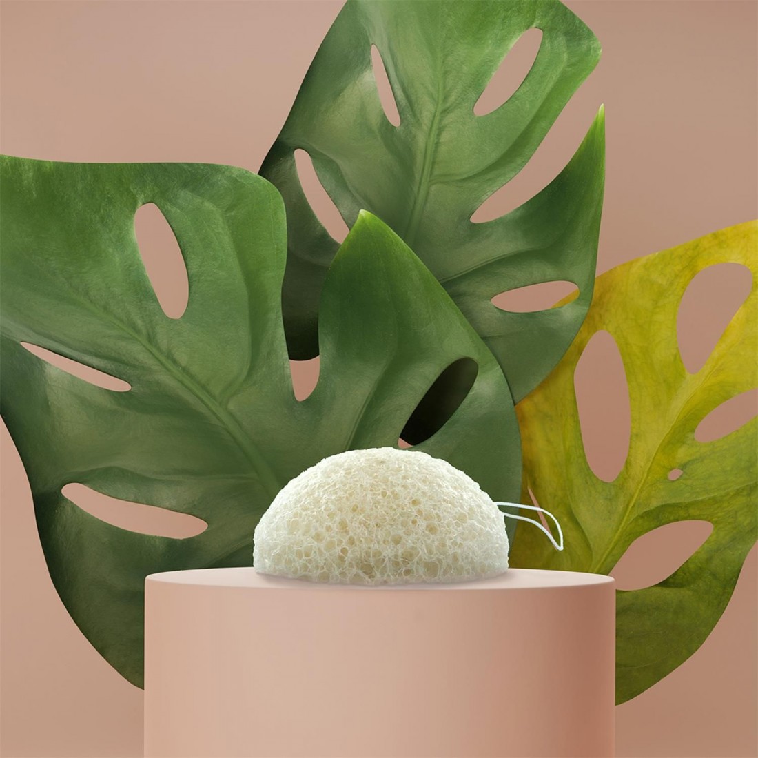 EPONGE KONJAC TOUS TYPES DE PEAUX - Blanche - Colis 24