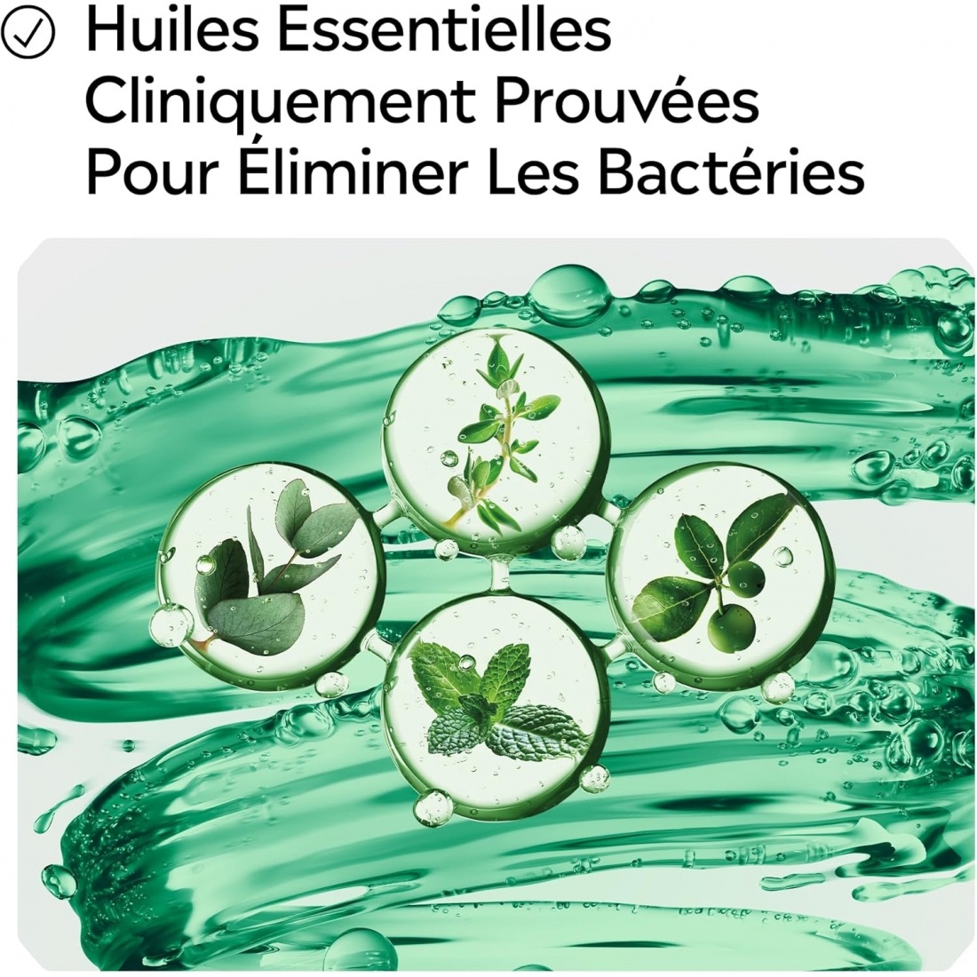 LISTERINE BAIN DE BOUCHE 250 ML Menthe Fraiche CT 6